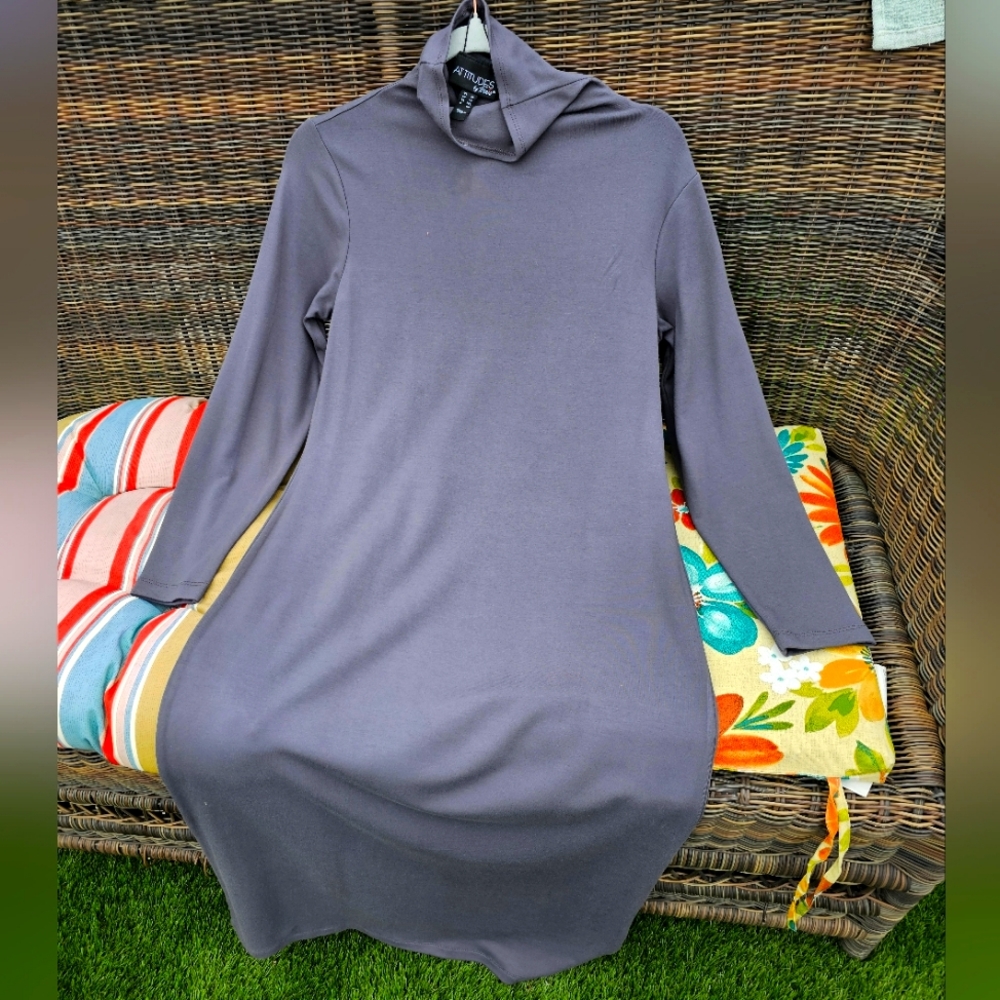 Long sleeve Tuttle neck maxi dress